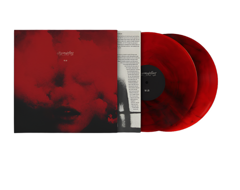 Skycamefalling - 10.21 (Limited Edition Marble Vinyl 2xLP x/125)