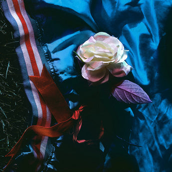 Gleemer - Moving Away (Limited Edition Black Vinyl LP x/190)
