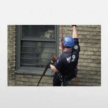 Armand Hammer - Shrines (Limited Edition White Vinyl LP x/1000)