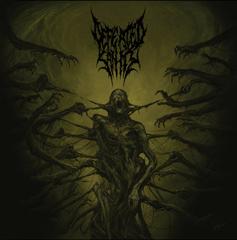 Defeated Sanity - Passages Into Deformity (Limited Edition Mixed Color Splatter Vinyl LP x/300)