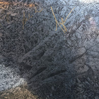 Say She She - Silver (Autographed Vinyl 2xLP)