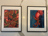 Jeff Jordan - Surrealist Prints from The Mars Volta's 'Octahedron' Album (Framed Set of 2)