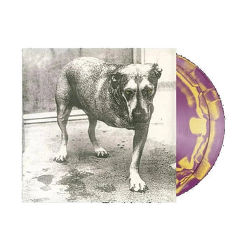 Alice In Chains - Alice In Chains (Limited 30th Anniversary Edition Orchid Purple & Canary Yellow Swirl Vinyl 2xLP) - Rare Limiteds