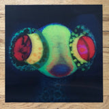 Osees - SORCS 80 (Autographed Bandcamp Exclusive Kelly Green w/ Magenta & Blue Splatter Vinyl LP w/ Lenticular Insert + Bonus SORCS 80 Live LP + Signed Photo x/300) - Rare Limiteds