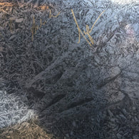 Say She She - Silver (Autographed Vinyl 2xLP) - Rare Limiteds