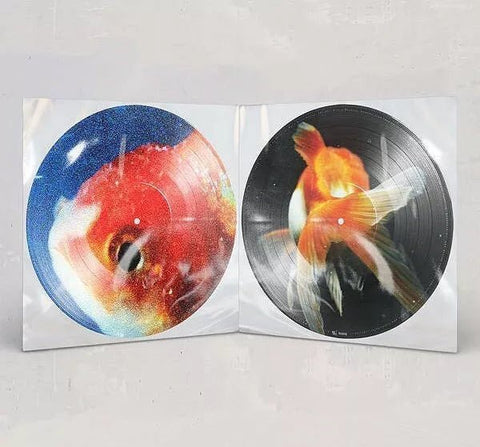 Vince Staples - Big Fish Theory (Limited Edition Picture Disc Vinyl 2xLP) - Rare Limiteds