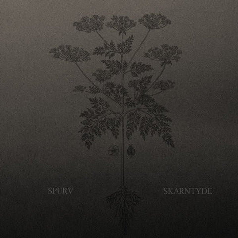 Spurv - Skarntyde (Limited Edition Vinyl LP)