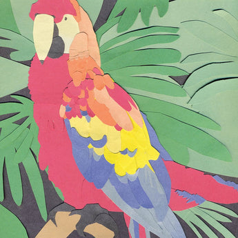 Algernon Cadwallader - Parrot Flies (Limited Edition Opaque Orange Vinyl LP x/400) - Rare Limiteds