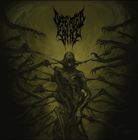Defeated Sanity ‎ - Passages Into Deformity (Limited Edition Mixed Color Splatter Vinyl LP x/300) - Rare Limiteds