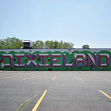 Greet Death - Dixieland (Limited Edition Pink / Green Split Color Vinyl LP x/300) - Rare Limiteds