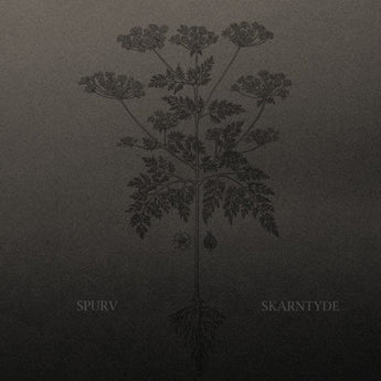Spurv - Skarntyde (Limited Edition Vinyl LP) - Rare Limiteds