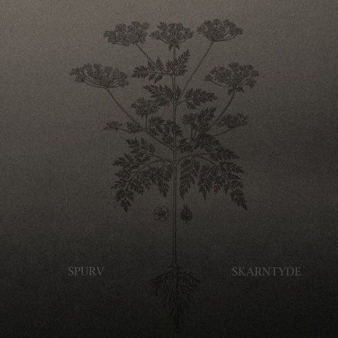 Spurv - Skarntyde (Limited Edition Vinyl LP) - Rare Limiteds
